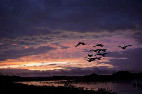 Exploring Illinois: Upper Mississippi River National Wildlife Refuge ...