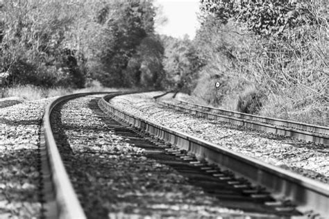 Train Tracks in a Black and White Autumn Landscape Stock Photo - Image of perspective, vintage ...