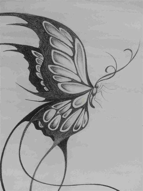 Pretty Butterfly Drawings at PaintingValley.com | Explore collection of Pretty Butterfly Drawings