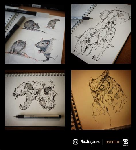 ArtStation - Instagram sketches