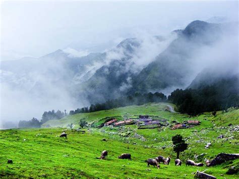 Weekend Trip To Chopta-Tungnath-Chandrashilatop - Himalayantop Travels