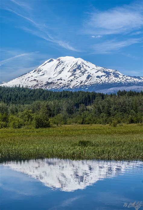 Elevation of Trout Lake, WA, USA - Topographic Map - Altitude Map