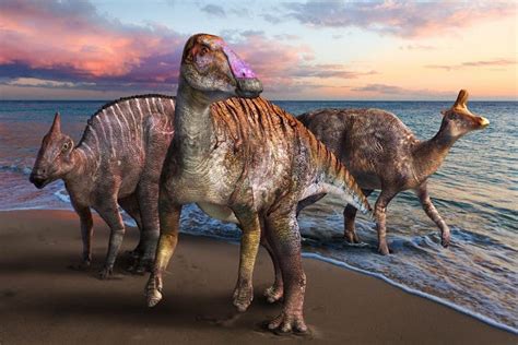 The First Dinosaurs Discovered in Japan From the Late Cretaceous Period - Arkeonews