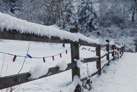 File:Christmas lights strung on snow-covered fence.JPG - Wikimedia Commons