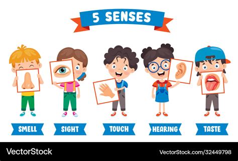 Five senses concept with human organs Royalty Free Vector