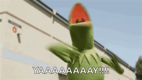 Kermit Yay GIF - Kermit Yay Smh - Discover & Share GIFs