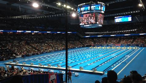 How Big is an Olympic Swimming Pool?