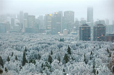 Toronto Ice Storm Photograph by Charline Xia | Fine Art America