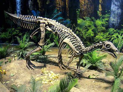 Rare Resources: Camptosaurus