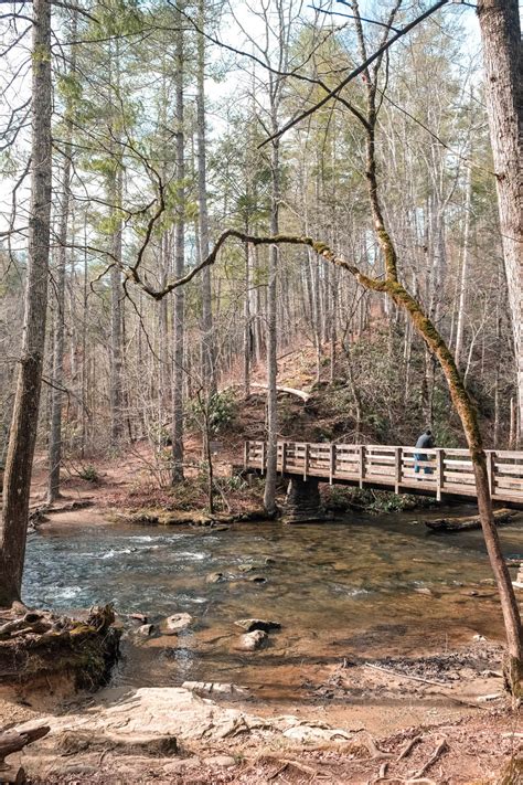 Hike the Abrams Falls Trail: Great Smoky Mountains