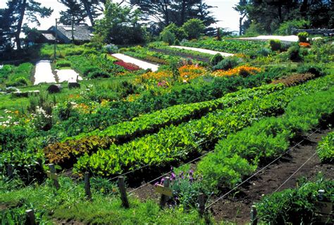 LocalOrg: Permaculture: A Healthy Sustainable Alternative to Big-Agri