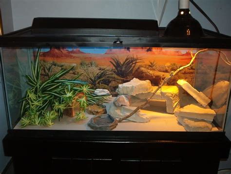 60 gallon reptile tank