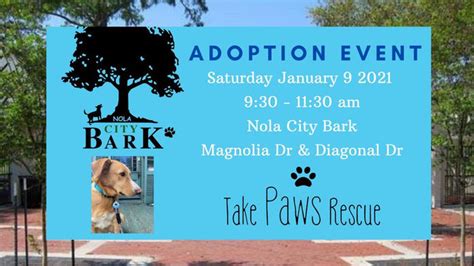 Take Paws Rescue Adoption Event at City Bark