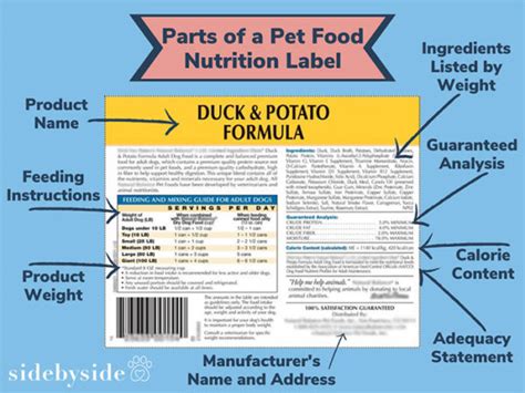 Ingredients for Dog Food - A Veterinarians's Advice | Forever Freckled