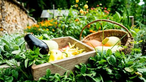 10 canastas de frutas y verduras orgánicas que llegan hasta la puerta de tu casa