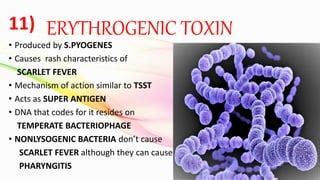 MECHANISM of ACTION of some GRAM positive BACTERIA’s exotoxin | PPT