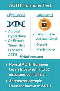 What is ACTH Hormone Test | Normal Levels & Causes of High/Low Levels