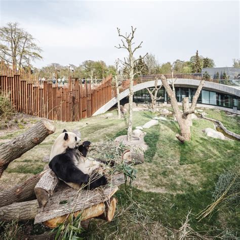 BIG completes yin-and-yang-shaped Panda House at Copenhagen Zoo - 【Free Download Architectural ...