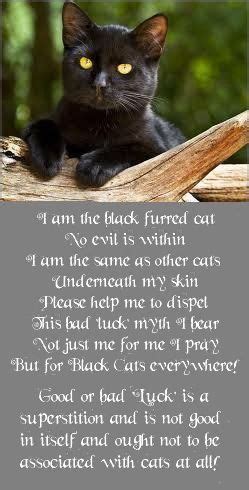 Cats – Black cat poem use | Gif de humor, Memes, Trap