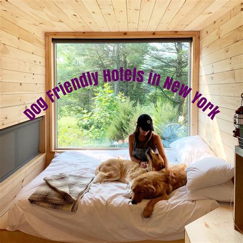 Pet Friendly Hotels in New York | Time Flies and So Should You