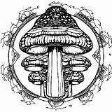 Mushroom Mandala Coloring Page · Creative Fabrica sketch template