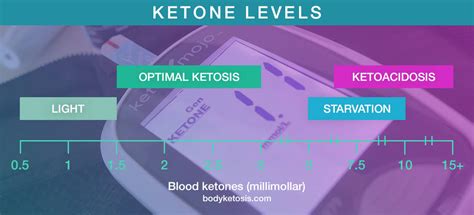 5 Best Blood Ketone Meters in 2019 [Beginners Guide] | Bodyketosis