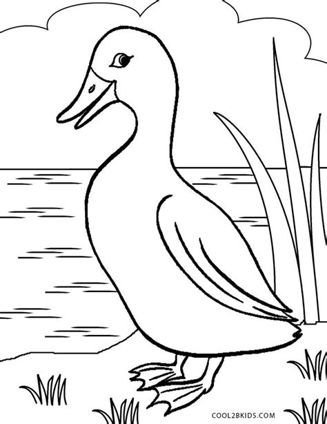 Duck Coloring Pages Coloriage Dessin Gratuit Canard Dessin | Porn Sex Picture