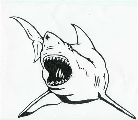 Shark Clipart Black And White - Cliparts.co