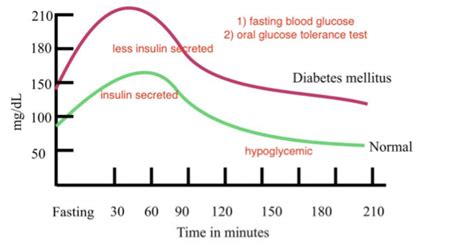 Solved This is a graph of a glucose tolerance test on two | Chegg.com