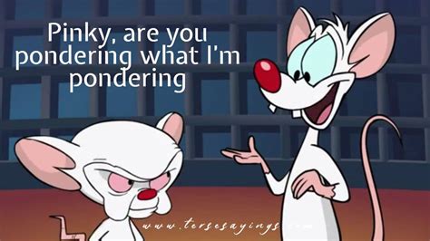 Pinky and the Brain Quotes