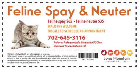 Specials | Lone Mountain Animal Hospital