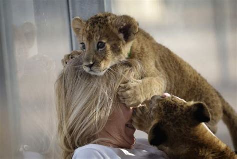 (Gallery) Top 10 Attractions for Animals Lovers in Las Vegas - Pace.Vegas