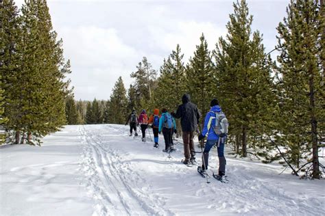 Winter Adventures | Yellowstone National Park Lodges