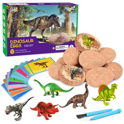 Dig Up Dinosaur Fossil Eggs,Break Open 12 Unique Dinosaur Fossil Eggs and Discover 12 Cute ...