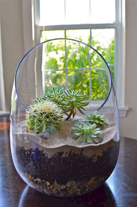 Diy Succulent Terrarium Ideas | Types Of Succulent Plant