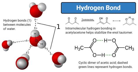 Hydrogen Bond- Definition, properties, types, formation, examples