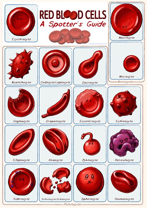 Drawing blood - Axonology