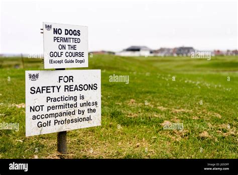 Signs on a golf course warning that dogs are not permitted, and no practicing is permitted ...