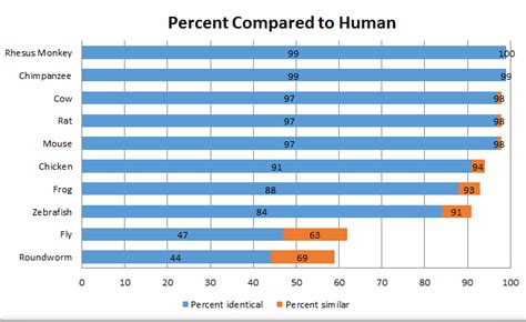 Homology - Asperger's syndrome and the GABRB 3 gene