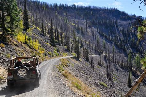 Take a fall drive to hunt for golden larches around Blewett Pass | The ...