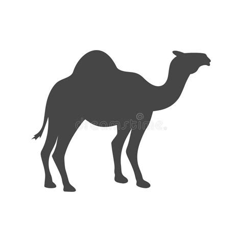 Camel Silhouette Stock Illustrations – 11,503 Camel Silhouette Stock ...