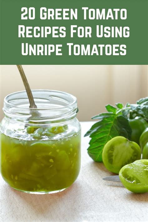 21 Green Tomato Recipes For Using Unripe Tomatoes | Green tomato recipes, Tomato recipes, Fresh ...