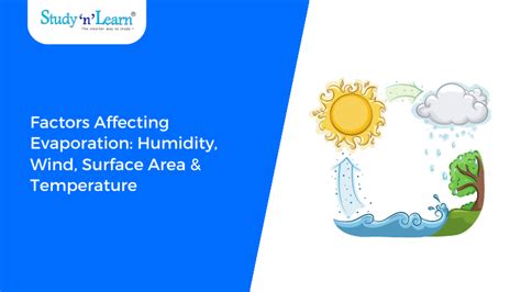 Factors Affecting Evaporation: Humidity, Wind, Surface Area & Temperature