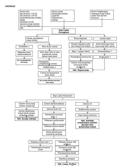 Pathway Prematur