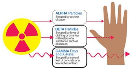 Laboratory Safety and Management: Hazards of Alpha and Beta Particles and Gamma Radiation