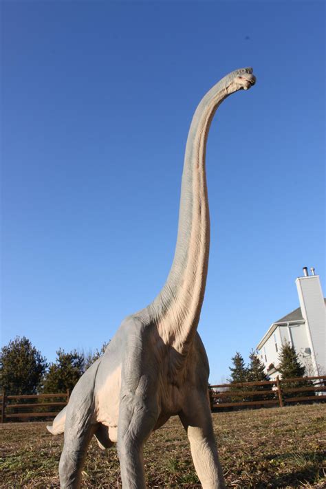 Jurassic Park Brachiosaurus by yankeetrex on DeviantArt