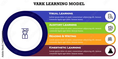 VARK learning styles or VARK model to help with learning vector Stock ...