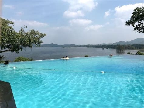 Heritance Kandalama $219 ($̶2̶9̶5̶): 2018 Prices, Reviews & Photos - Sri Lanka/Dambulla - Hotel ...