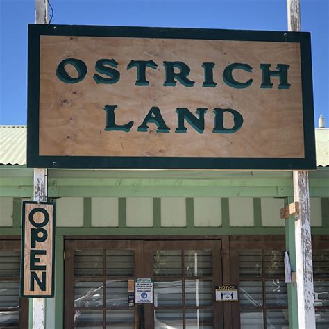 Visiting Ostrich Land in Solvang - Real Mom of SFV