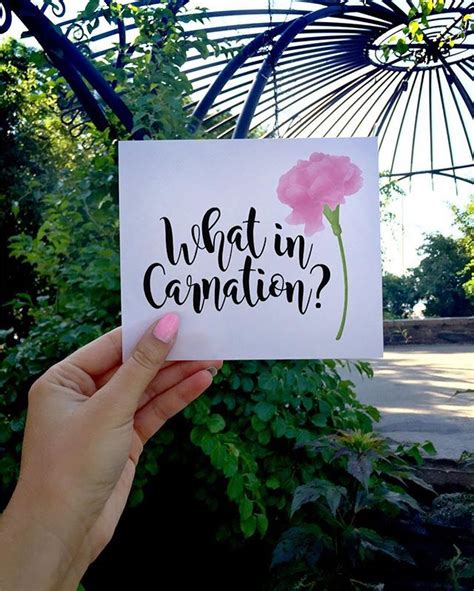 What in carnation? 😯 This feels like July weather, not September! ... No complaints though! 🙌🏻😉 ...